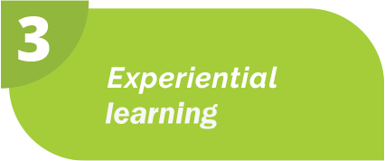 Experiential
